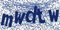 Image with security code embedded in it